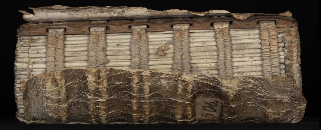 PolonskyBanner